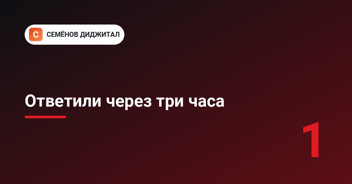 Дыра 1. Ответили через три часа